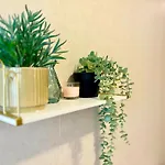 The Cozy Breeze Apartment *