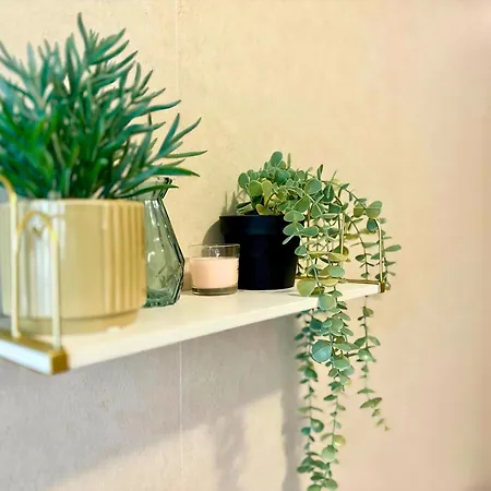 The Cozy Breeze Apartment *